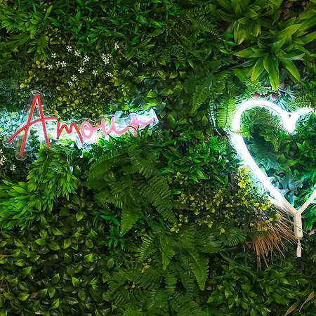 Maison Centro Storico Appartamento Napoli